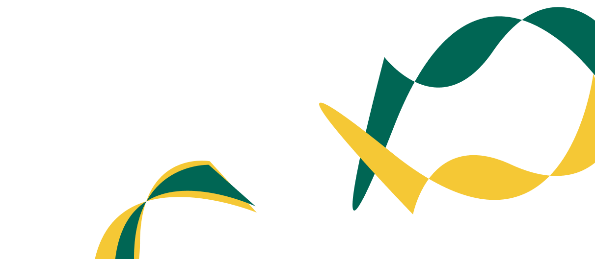 Expert Solutions for Corporate  Financial Success. - 雷速体育直播APP