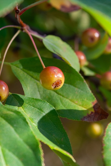 次不同文化 次不同文化