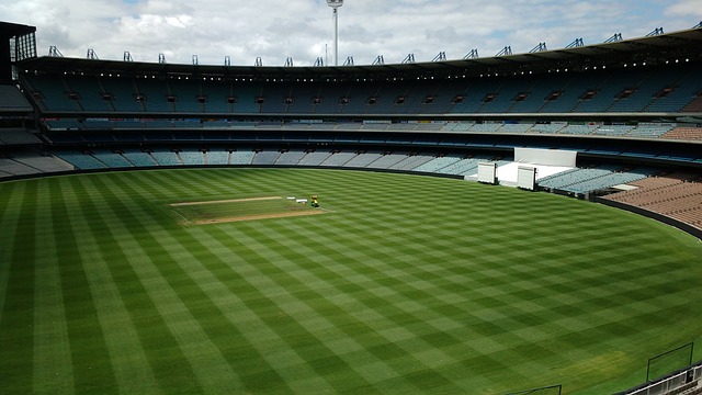 但在公众的 但在公众的