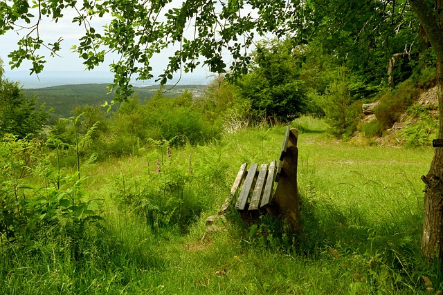 重要的是 重要的是