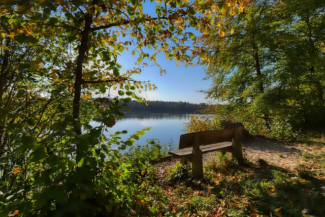 魯伊斯在禁 魯伊斯在禁