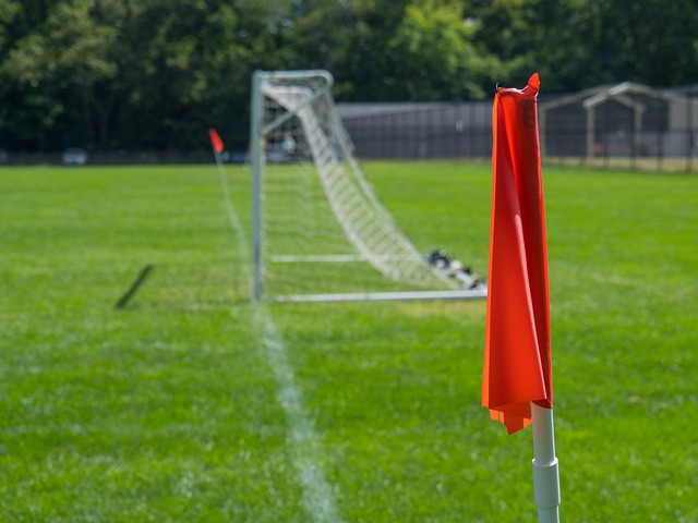 星名单公布 星名单公布